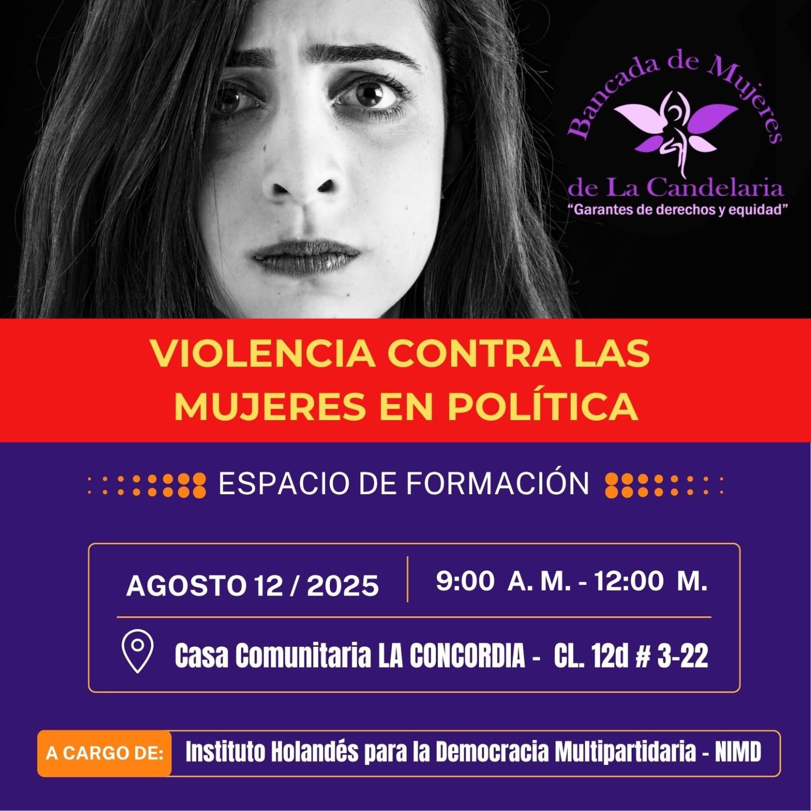 Taller de Violencia contra las mujeres en política ( Ley 2453 de 2025).